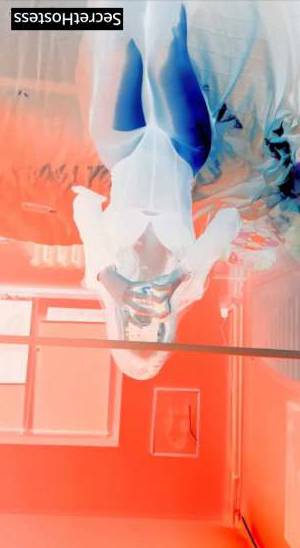 Carolina Jones 24Yrs Old Escort 167CM Tall Brooklyn NY Image - 2