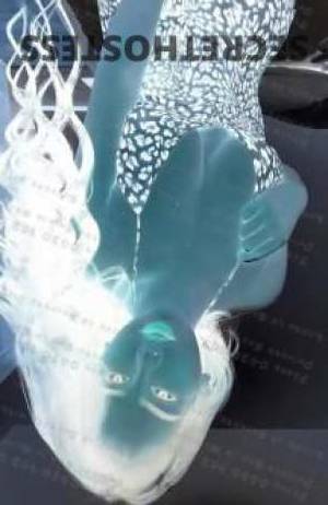 26 year old Escort in Mooloolaba Sunshine Coast Independent Sunshine Coast Sugar BabeJessy - Young Sexy and 