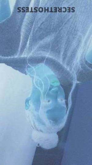 Melanie 23Yrs Old Escort Long Beach CA Image - 1