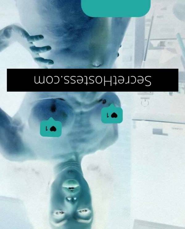 25Yrs Old Escort Size 6 Newcastle Image - 24