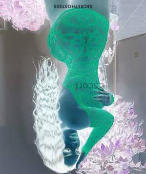 24 year old Escort in Doha KRISTIN , Independent Model. 24Yrs Old Escort Doha