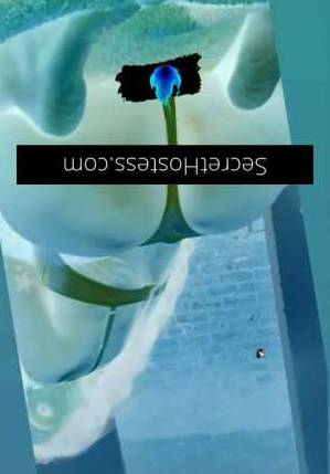 25Yrs Old Escort Size 6 Newcastle Image - 4