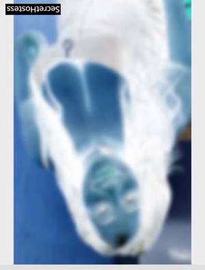 25Yrs Old Escort 65KG 150CM Tall Milwaukee WI Image - 2