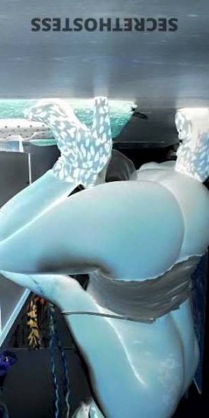 25Yrs Old Escort Washington DC Image - 1