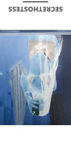 26Yrs Old Escort Brooklyn NY Image - 2