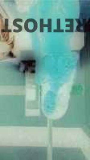 Diamond 24Yrs Old Escort Flint MI Image - 1