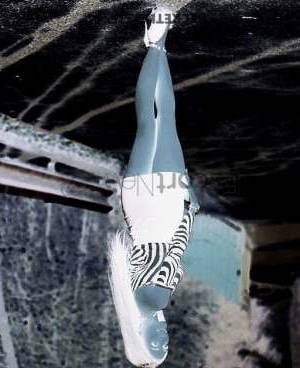 23 year old European Escort in Vienna European Escort Diana, Sexy and Passionate