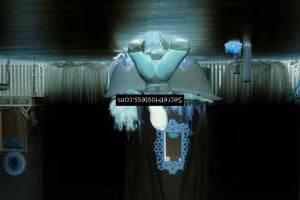 Mila 24Yrs Old Escort 72KG 174CM Tall Baku Image - 9