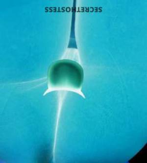 25 year old Escort in South Bend IN Ultimate Playmate for Unforgettable Moments Flirty 25-Year-