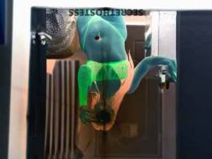ℒ????? 24Yrs Old Escort Reno NV Image - 2