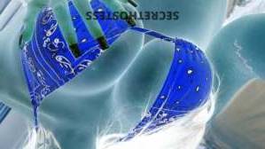 ℒ????? 24Yrs Old Escort Reno NV Image - 7