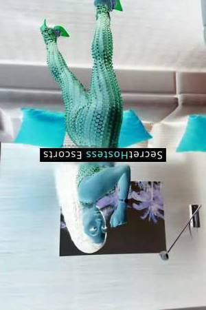 27 year old Escort in Maui HI Ciao! I'm [Name], an Italian national and a former tour