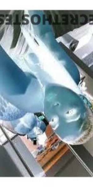 23 year old Latino Escort in Fresno CA Thick Latina