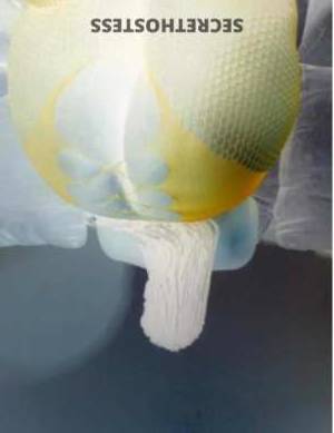 24Yrs Old Escort Fayetteville NC Image - 3