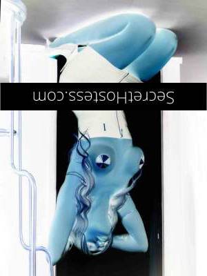 37Yrs Old Escort Sunshine Coast Image - 27