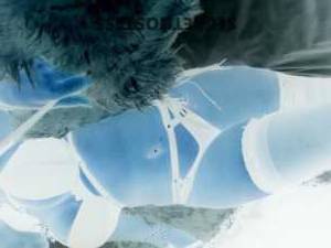 Experience Wild Delights with the Captivating Cougarxxxx-xxx in Sunshine Coast