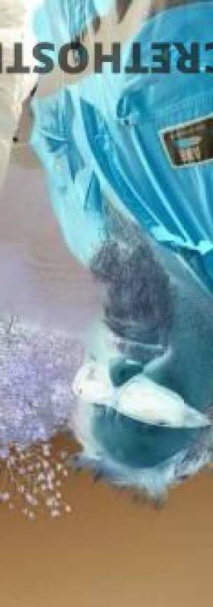 42 year old Escort in Alexandra Mackay Horny male escort in Mackay, Australia loves riding and 