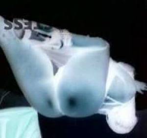 29 year old Escort in Wausau WI 29-Year-Old Escort and Kinky Lover Ashley is here for Anal 