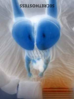 Mrslady 26Yrs Old Escort Miami FL Image - 1