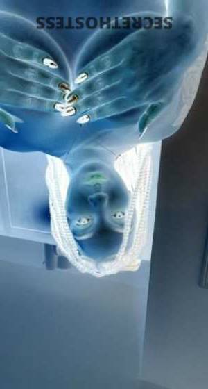 Mrslady 26Yrs Old Escort Miami FL Image - 3