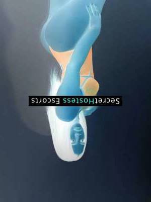 23 year old Hispanic Escort in Charlotte NC Sofia, Sexy 23 Year Old Hispanic Escort in Charlotte