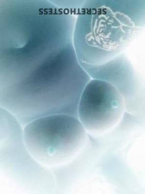 Steph 34Yrs Old Escort Daytona FL Image - 3