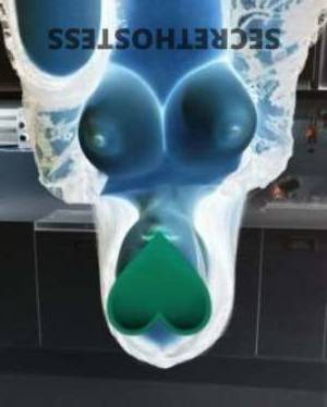 Meet F Cup Size 8 Naughty Babe The Ultimate GFE and Fantasy  in Newcastle