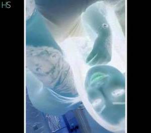 24 year old Latino Escort in Brighton East Sussex The Ultimate Party Girl Adventure Captivating, Real, and 