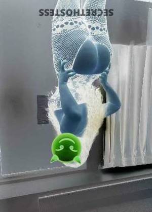 38Yrs Old Escort Gainesville FL Image - 3