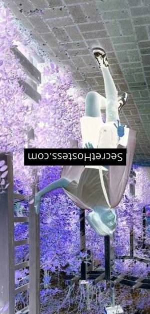 Alya 25Yrs Old Escort 50KG 170CM Tall Verona Image - 5