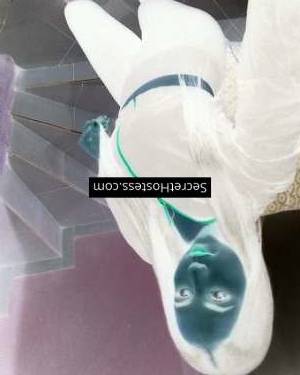 Bella 29Yrs Old Escort 85KG 153CM Tall Al Maabilah Image - 2