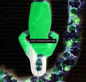 Busel 26Yrs Old Escort 51KG 159CM Tall Belgrade Image - 4