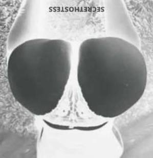 Christy 23Yrs Old Escort Bradenton FL Image - 4