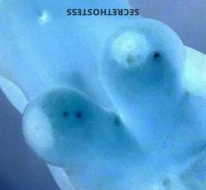 28 year old Latino Escort in Charlotte NC Experience Blissful Fun and Relaxation with Mia, Your Sexy 