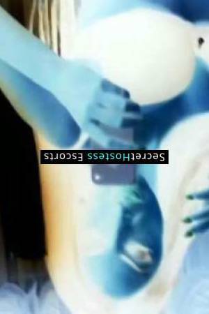 Narcissus Your Ultimate Companion for a Fun Time in Wiesbaden