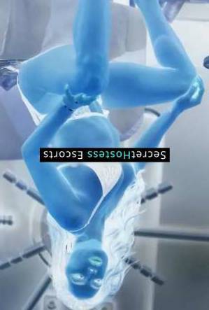 27 year old Israeli Escort in Herzliya Toma - Israeli Escort in Herzliya - 27 yo Brunette - B cup