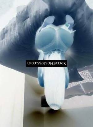 Vanessa 27Yrs Old Escort 55KG 164CM Tall Mississauga Image - 4