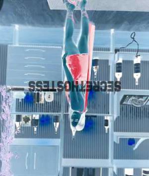 21Yrs Old Escort 54KG Miami FL Image - 3