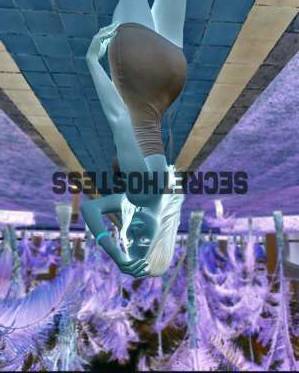 21Yrs Old Escort 54KG Miami FL Image - 4