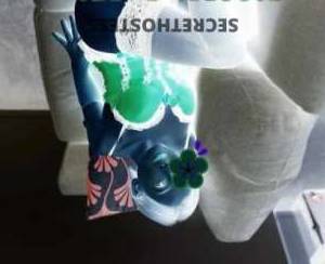 26 year old Japanese Escort in Atwell Perth wild and crazy fun? petite new girl rocking your world! GFE 