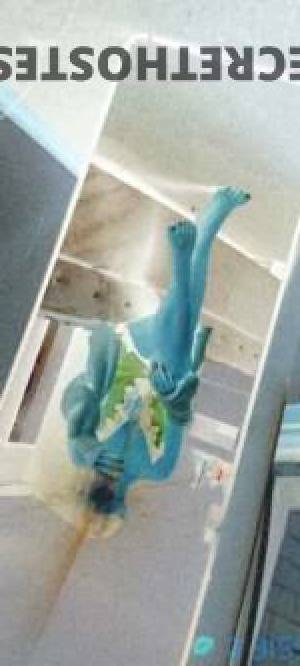 27Yrs Old Escort Wollongong Image - 4