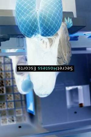 Catalina 23Yrs Old Escort 53KG 166CM Tall Basel Image - 17