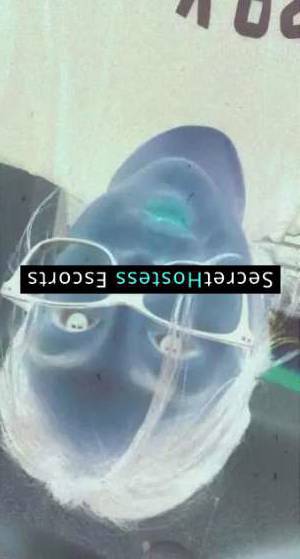 Chitia ?? 27Yrs Old Escort 11KG 200CM Tall San Jose CA Image - 2