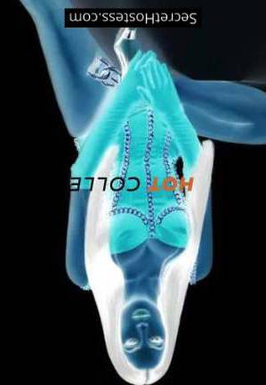 25 year old Brazilian Escort in London Jade Hot Collection