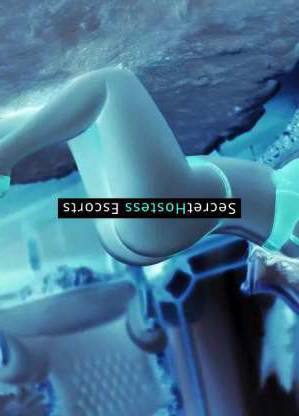 27 year old Romanian Escort in Vienna Classic Beauty with a Twist Romanian Escort in Vienna Katy 