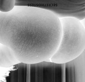 21 year old Caribbean Escort in Frederick MD Island Babe Ready Now