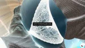 Rscurvy 28Yrs Old Escort 80KG 168CM Tall Linz Image - 4