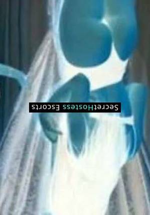 26 year old Escort in Brussels Indulge in a Memorable Experience with a True Beauty SARA, 