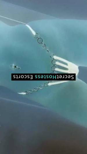 Tina 31Yrs Old Escort 50KG 160CM Tall Belgrade Image - 10