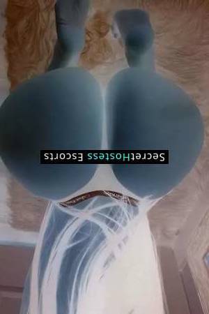 28 year old Latino Escort in San Jose CA Horny Fetish Queen Bella, The Best Escort In Town